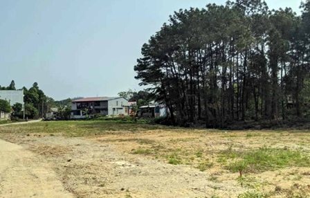 Bi phat 120 trieu vi quang cao du an bat dong san sai su that hinh anh