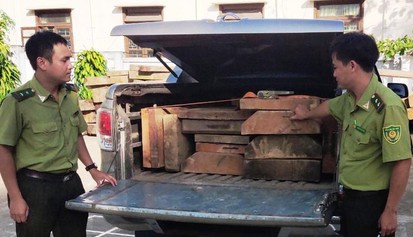 Oto cho go lau thao chay hon 100 km hinh anh