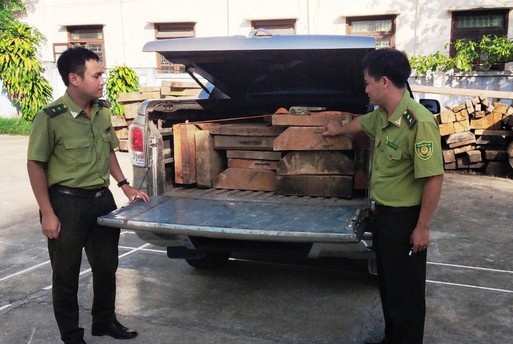 Truy đuổi gỗ lậu ảnh 1 Truy duoi go lau anh 1