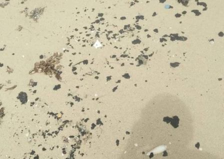 Bo bien Quang Tri xuat hien dau von cuc hinh anh