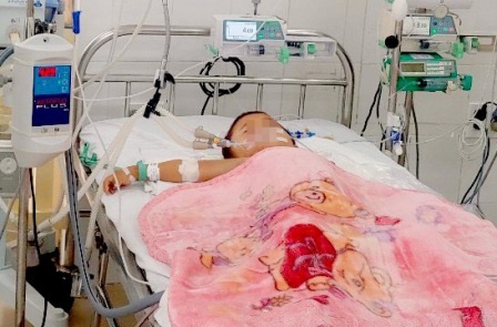 Be trai bi ong vo ve dot 50 not hinh anh