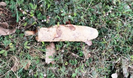 Phat hien qua dan coi o khu do thi hinh anh