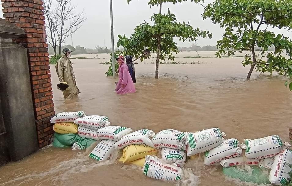 Mua lu chia cat anh 1