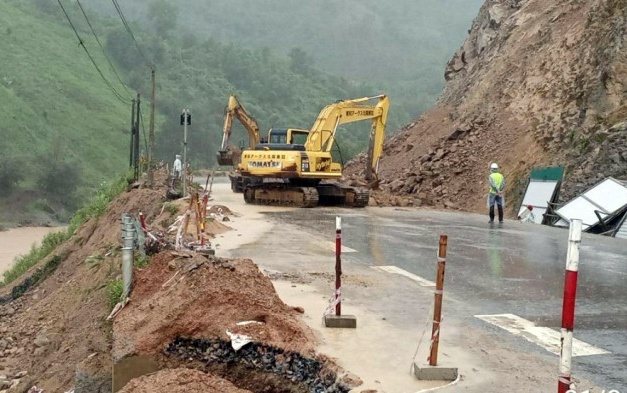 Cay xanh bat goc anh 2