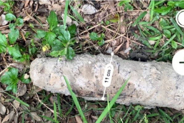 Dau dan 105 mm anh 1