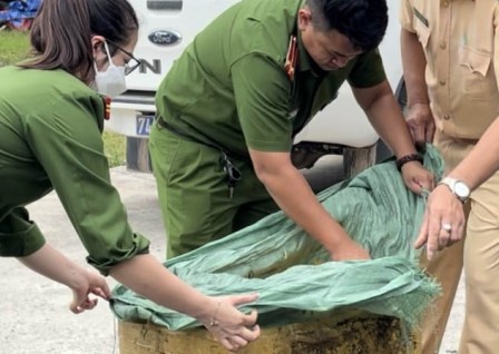 Chan xe tai cho 4 tan nam lon thoi ve Hue tieu thu hinh anh