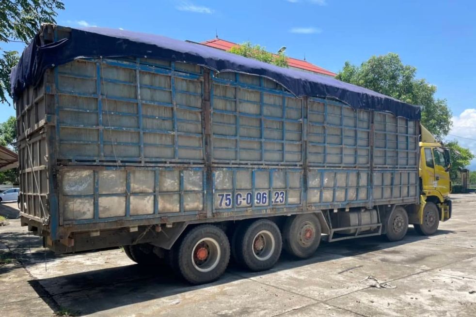 CSGT danh tai xe anh 1