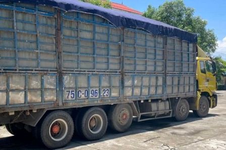 Vu to bi CSGT hanh hung: Tai xe bi lap bien ban them 3 loi hinh anh