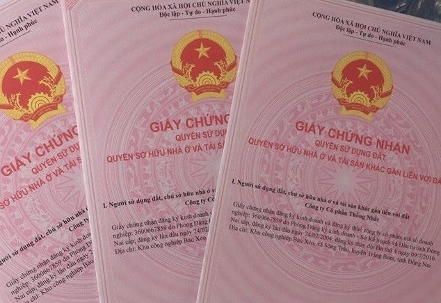 Truong phong tai nguyen va moi truong bi phe binh vi 'ngam' ho so hinh anh