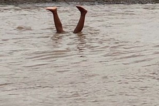 To truong dan pho tu vong sau khi xuong ho go luoi cau hinh anh