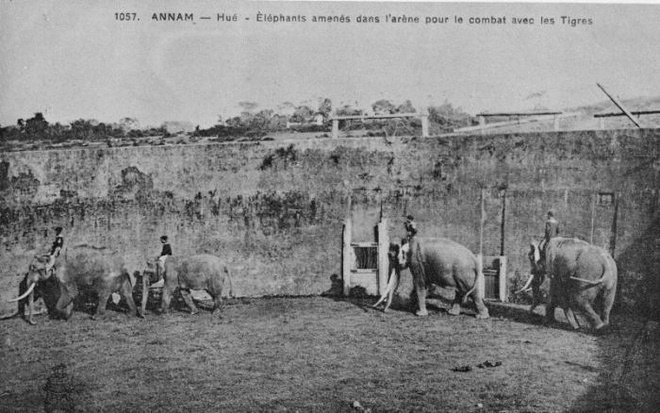 Dau truong Ho Quyen anh 4