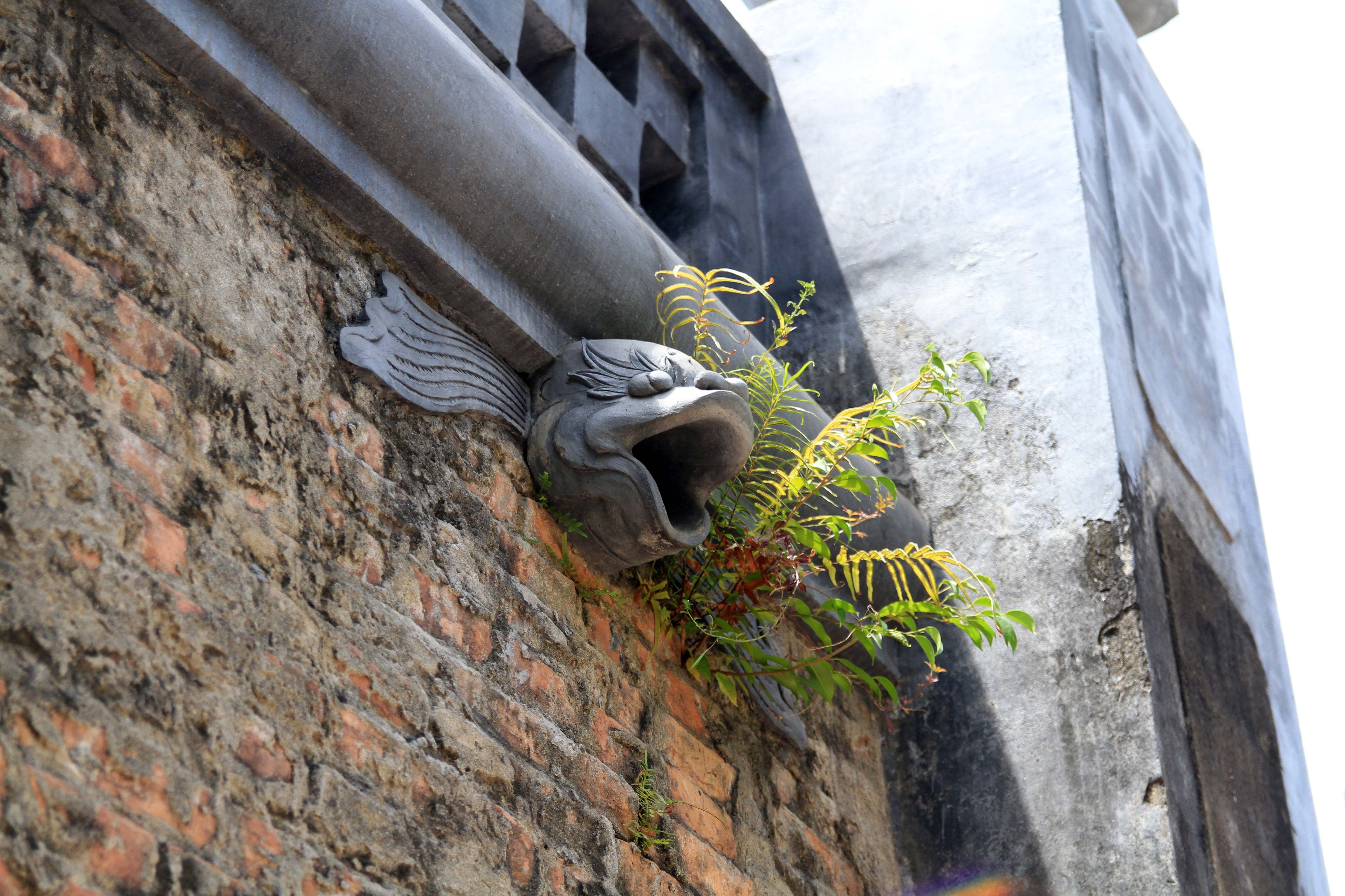 Dau truong Ho Quyen anh 11