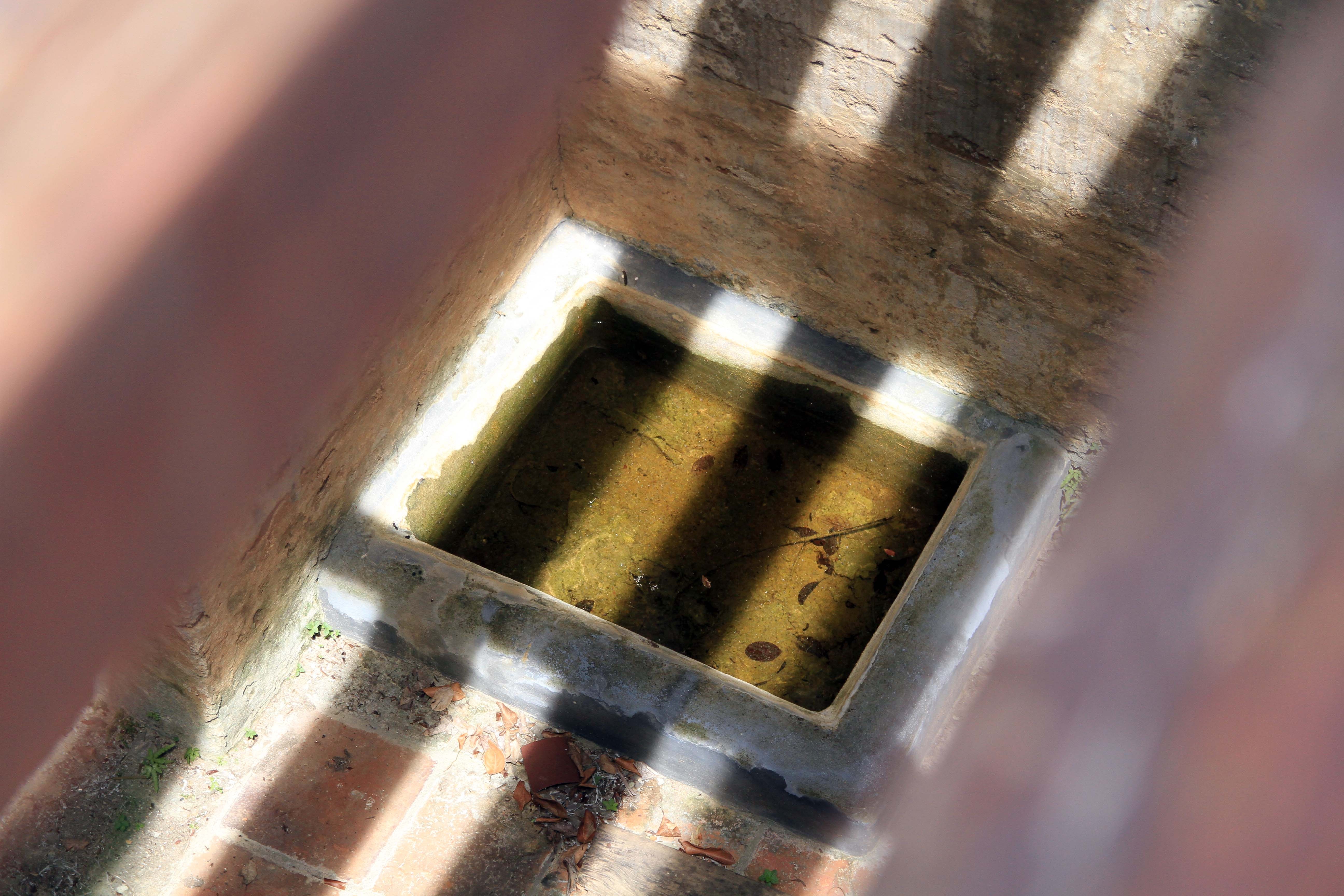 Dau truong Ho Quyen anh 7