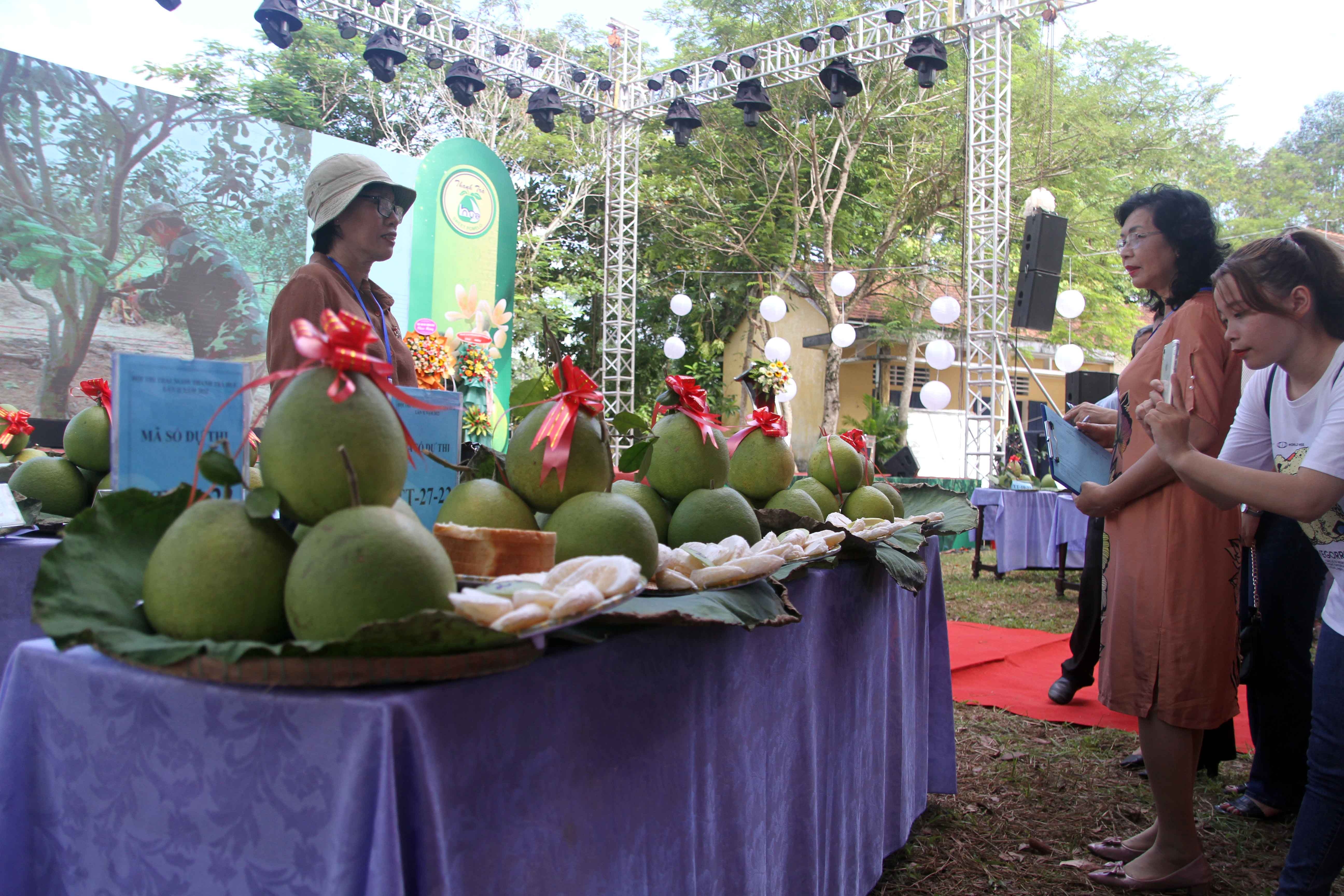 Thanh tra xu Hue anh 1