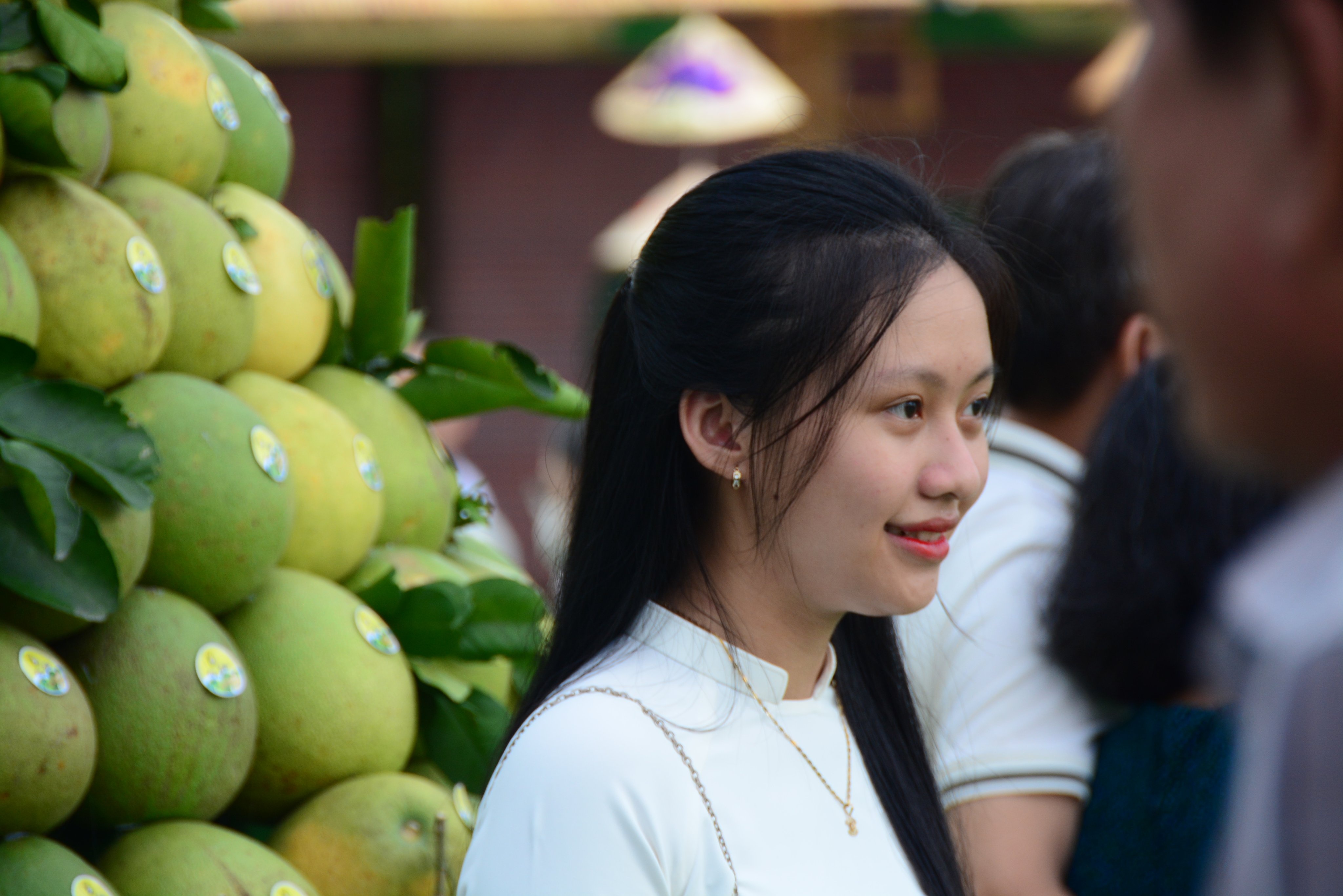 Hang nghin nguoi do ve le hoi trai cay thanh tra xu Hue dip le hinh anh