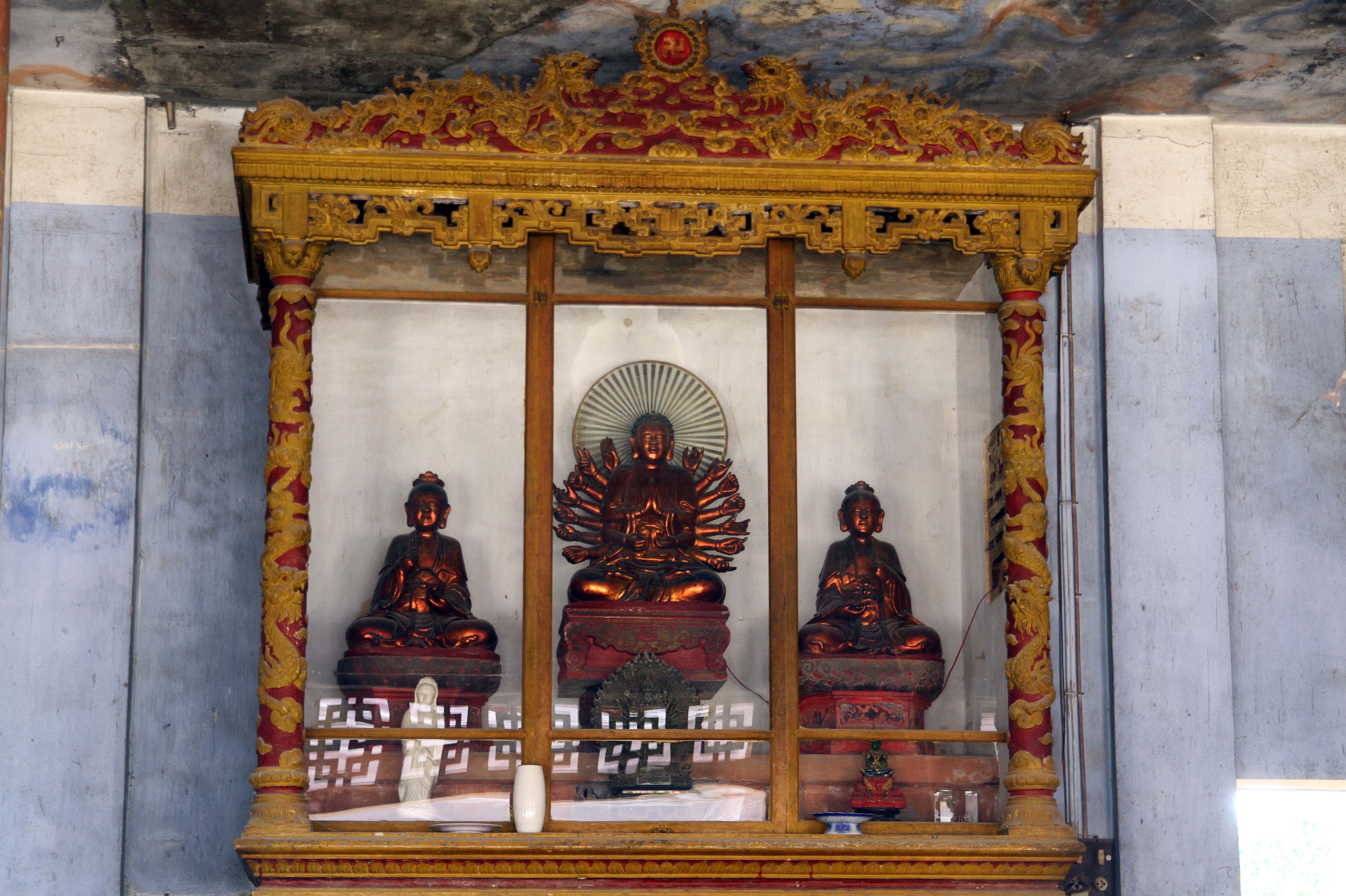 Dich chuyen chua anh 5