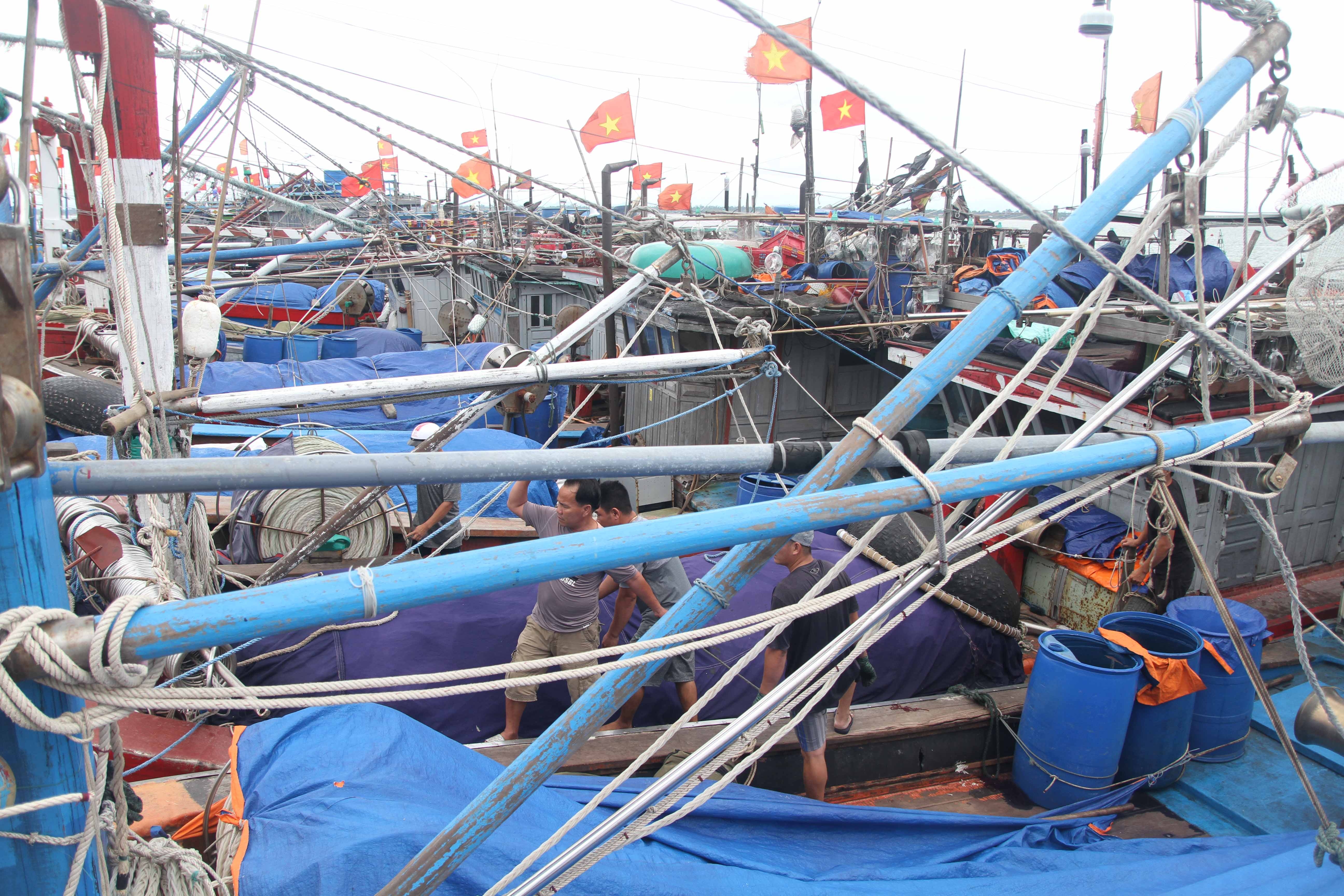 Bao Noru do bo anh 6