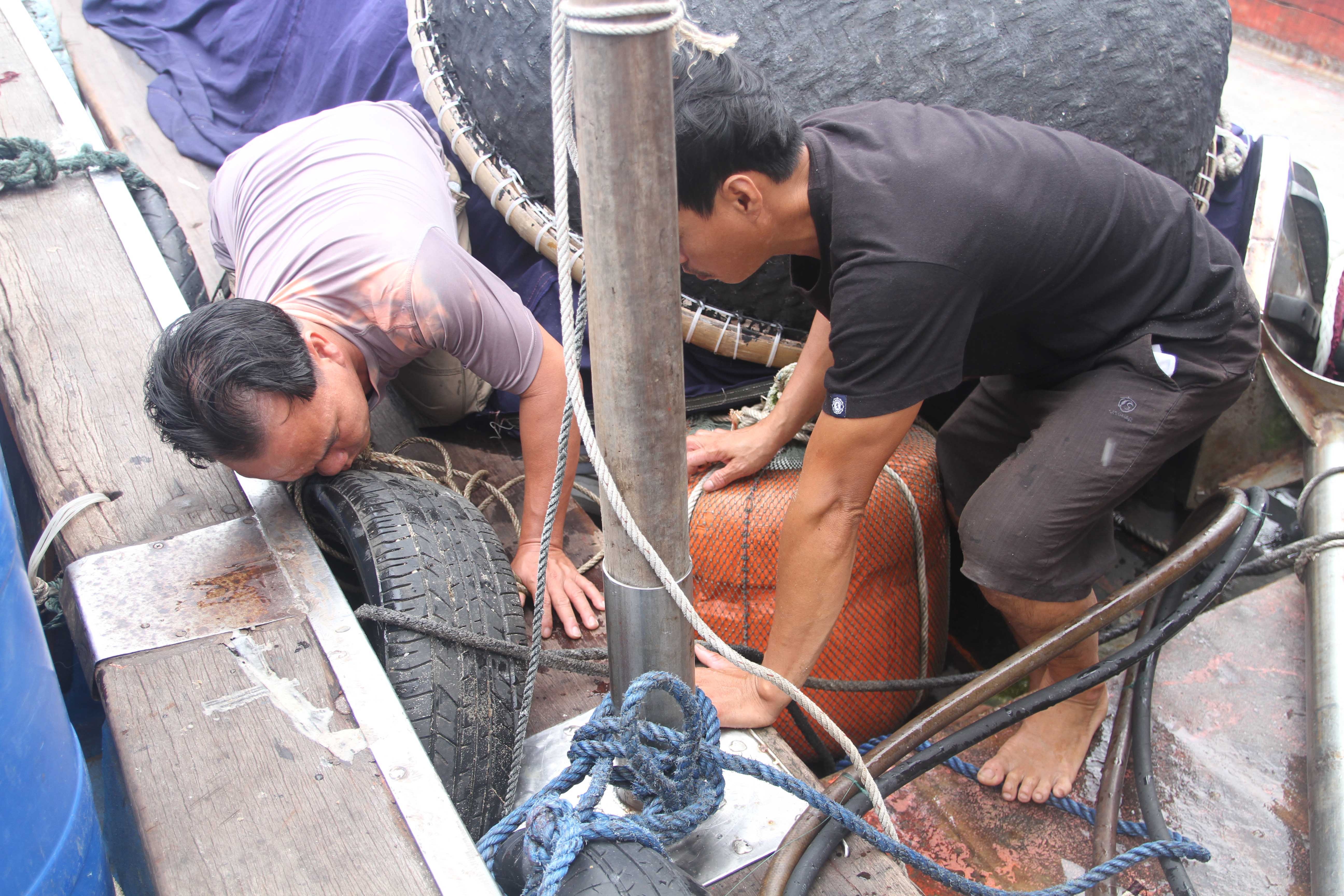 Bao Noru do bo anh 4