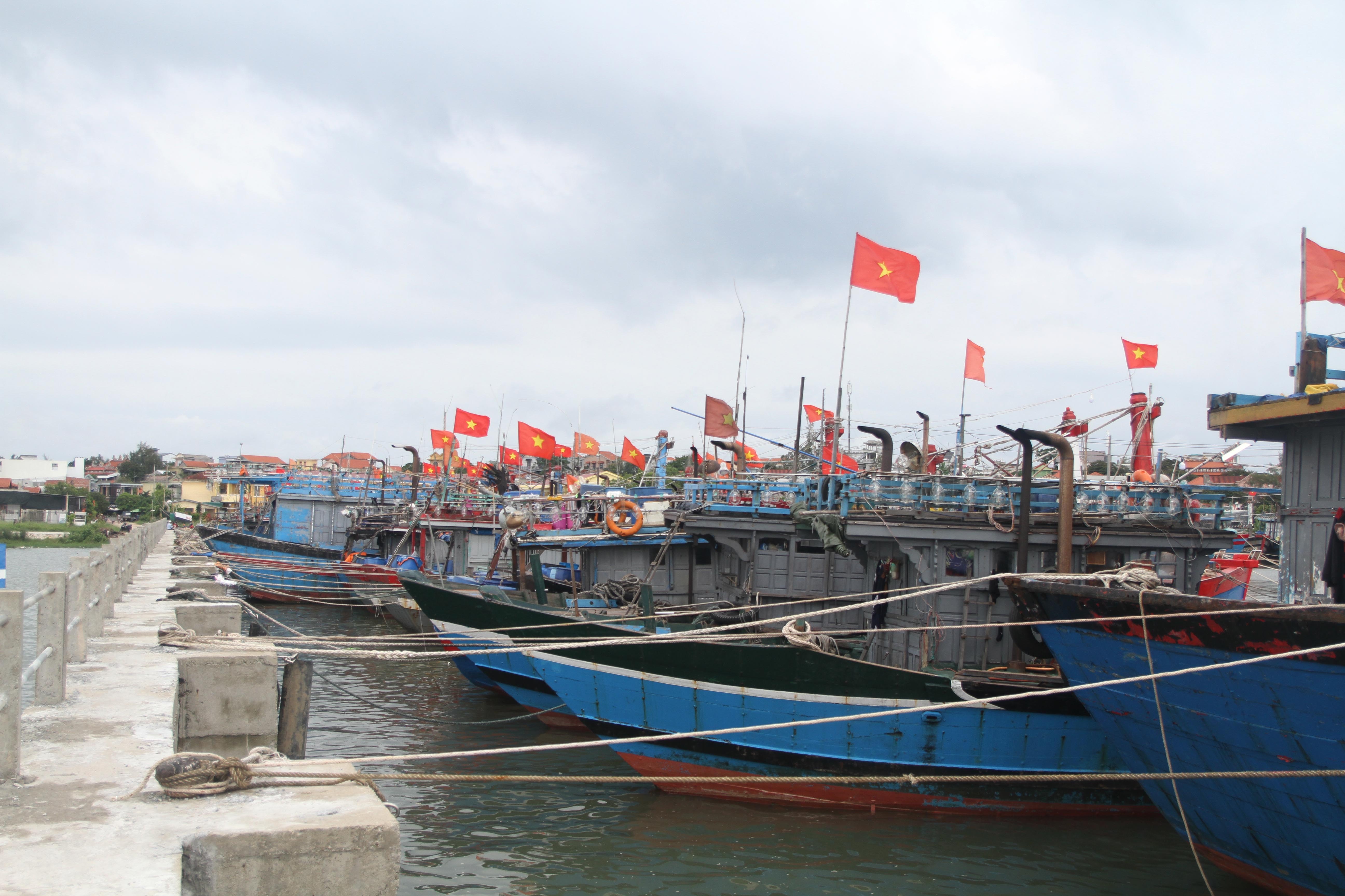 Bao Noru do bo anh 1