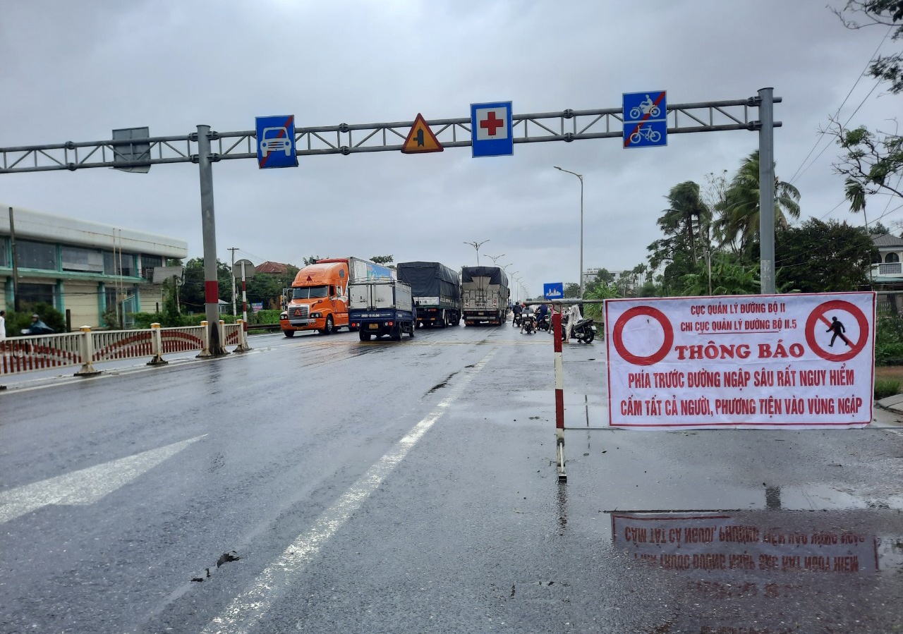 Hue chim trong bien nuoc anh 11