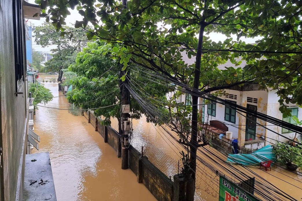 Lu dang trong dem anh 6