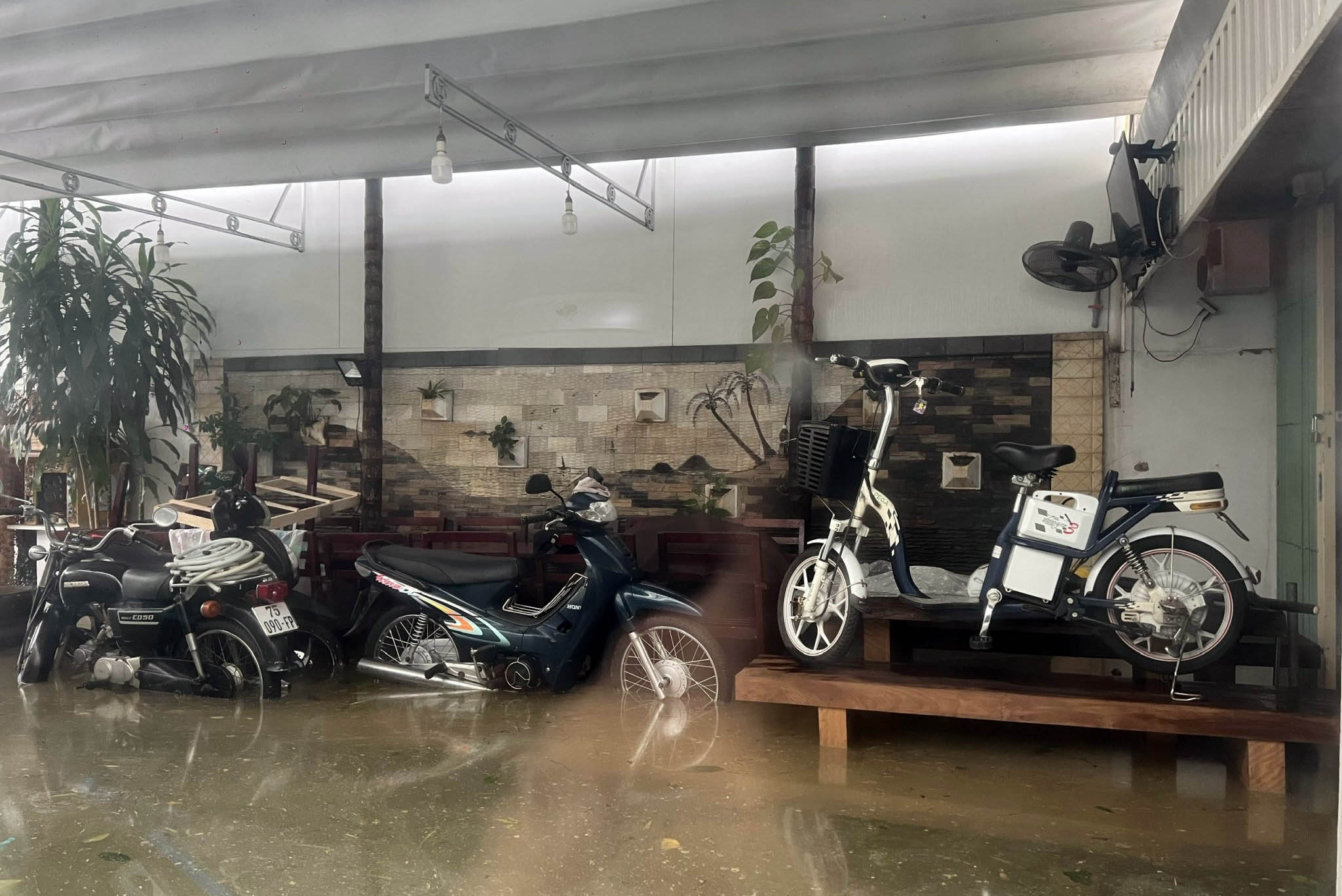 Lu dang trong dem anh 7