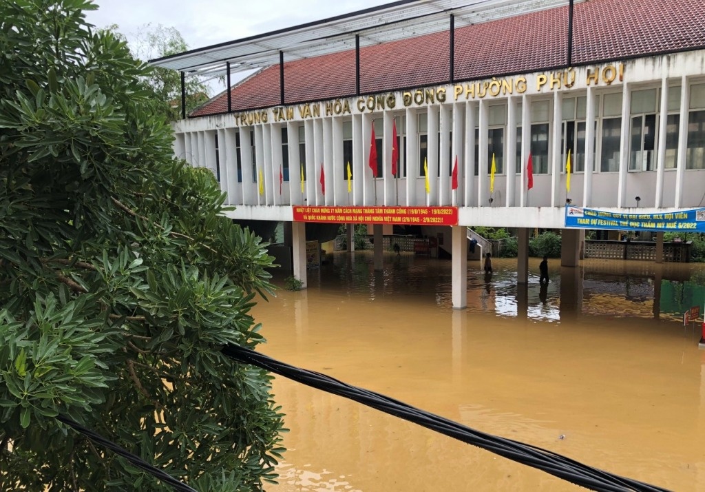 Lu dang trong dem anh 4