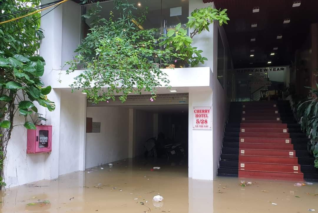 Lu dang trong dem anh 5