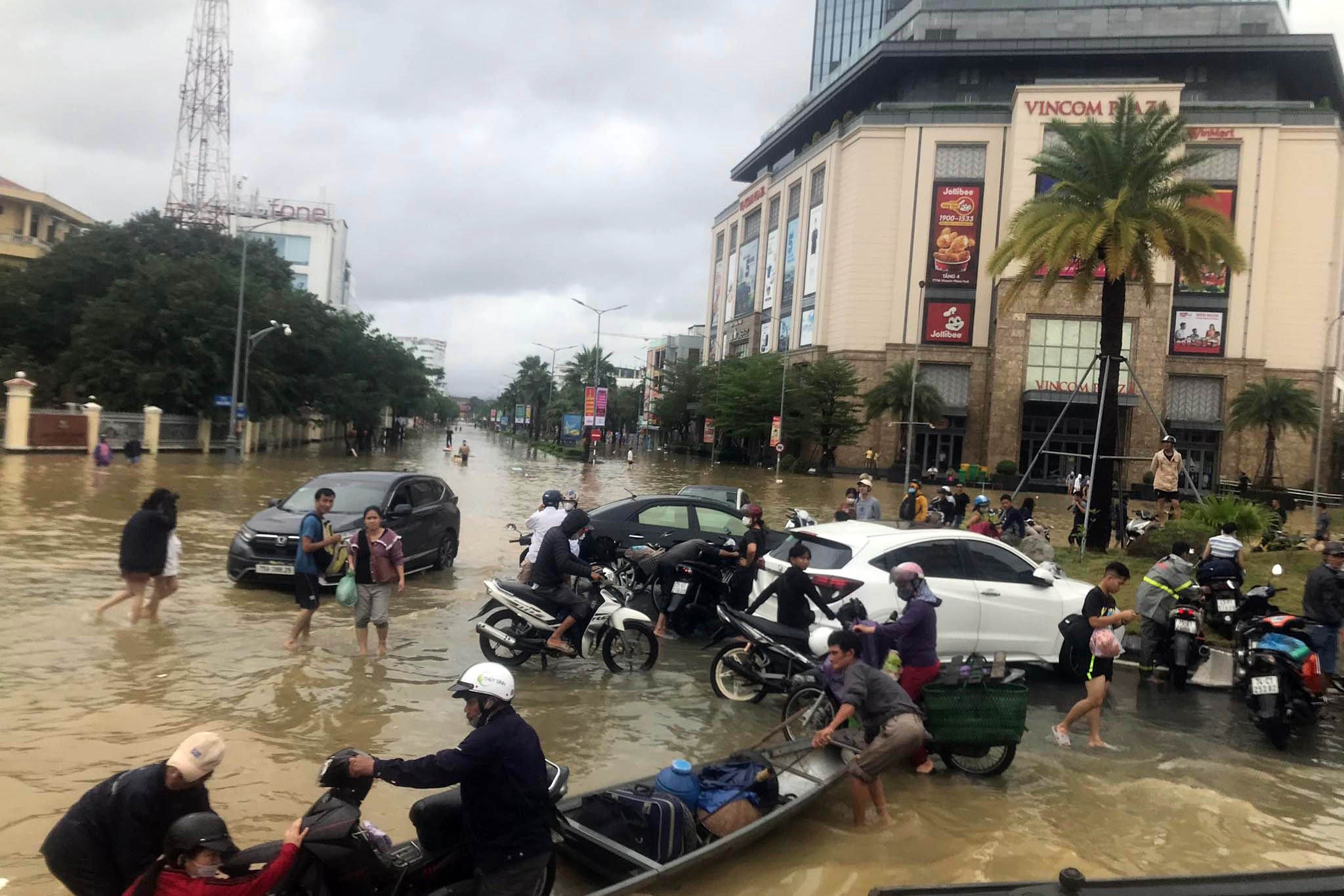 Hue chim trong bien nuoc anh 3