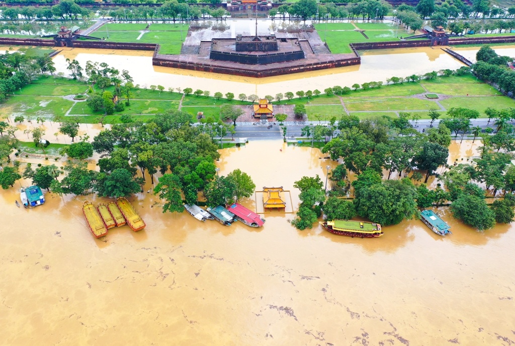 Hue chim trong bien nuoc anh 2