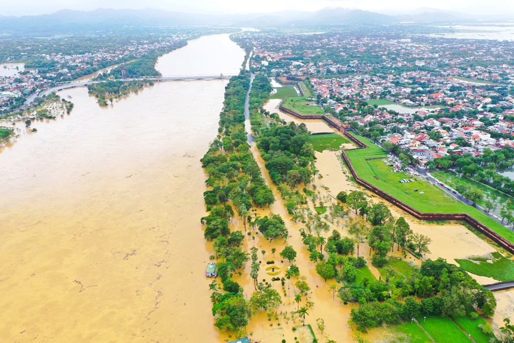 Hue chim trong bien nuoc anh 1