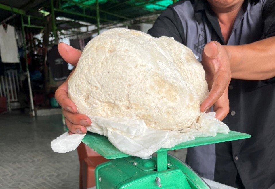 Long dien huong anh 1