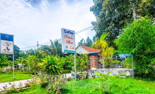 Vo nguyen chu tich huyen thue 8.000 m2 dat di tich lam khu vui choi hinh anh