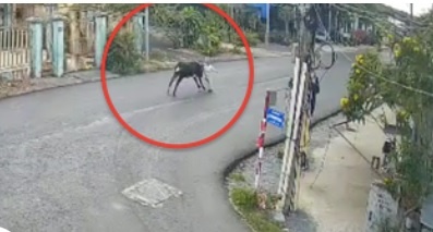 'Bo dien' huc cu ba bat tinh, be 7 thang tuoi roi khoi vong hinh anh