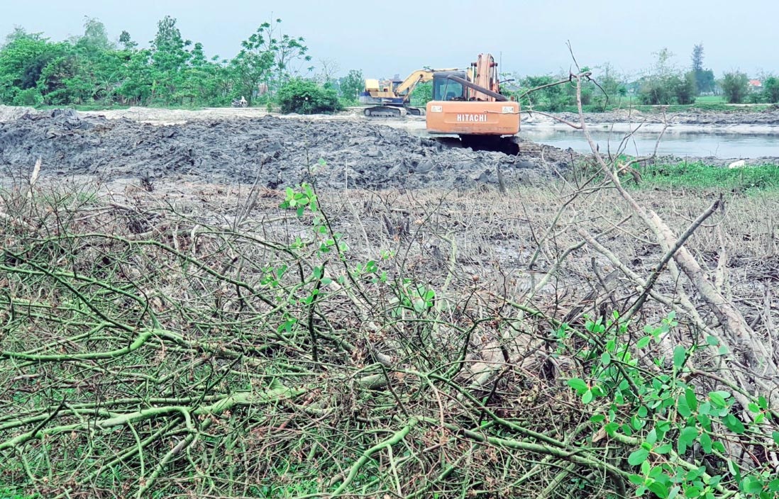 San ui 0,7 ha rung ngap man de 'phat trien du lich' hinh anh