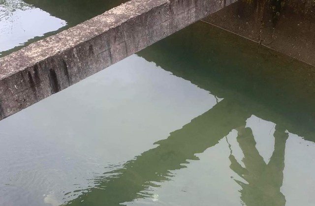 Phat hien thi the nam thanh nien duoi muong nuoc hinh anh