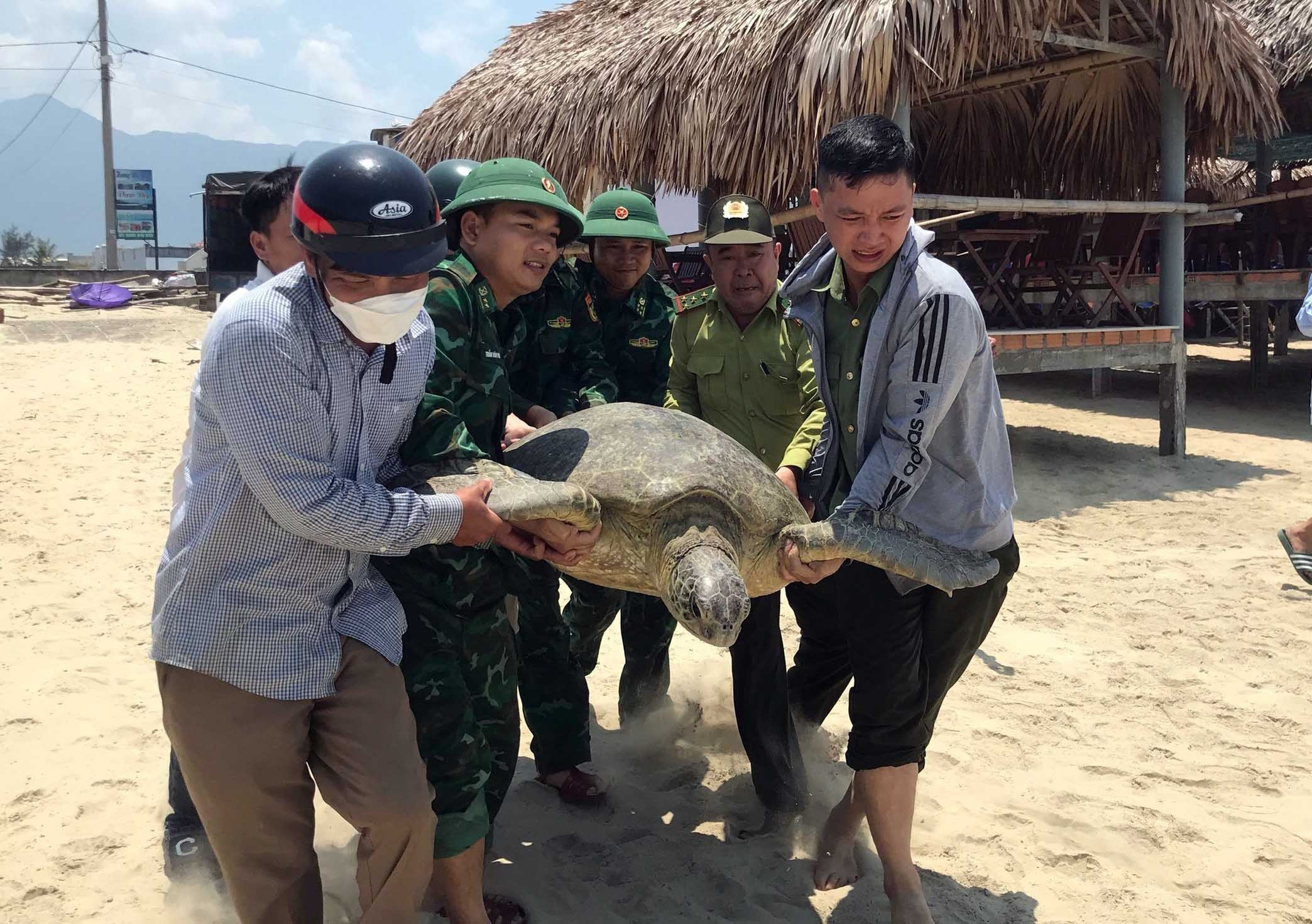 Rua bien nang hon 100 kg lac vao dam Lap An hinh anh