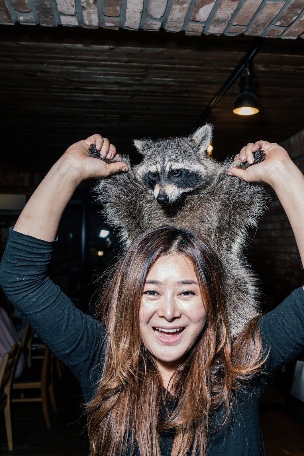 Quan ca phe gau meo gay sot o Han Quoc anh 10