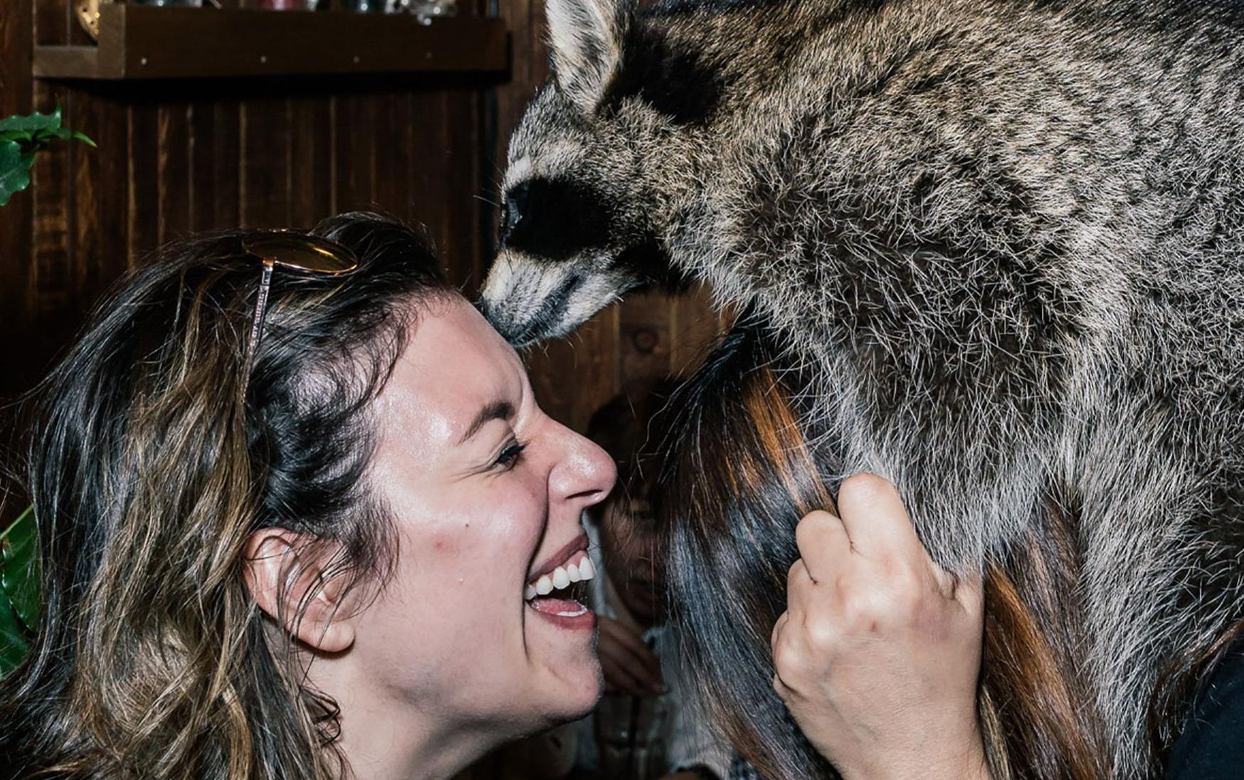 Quan ca phe gau meo doc dao o Han Quoc hinh anh