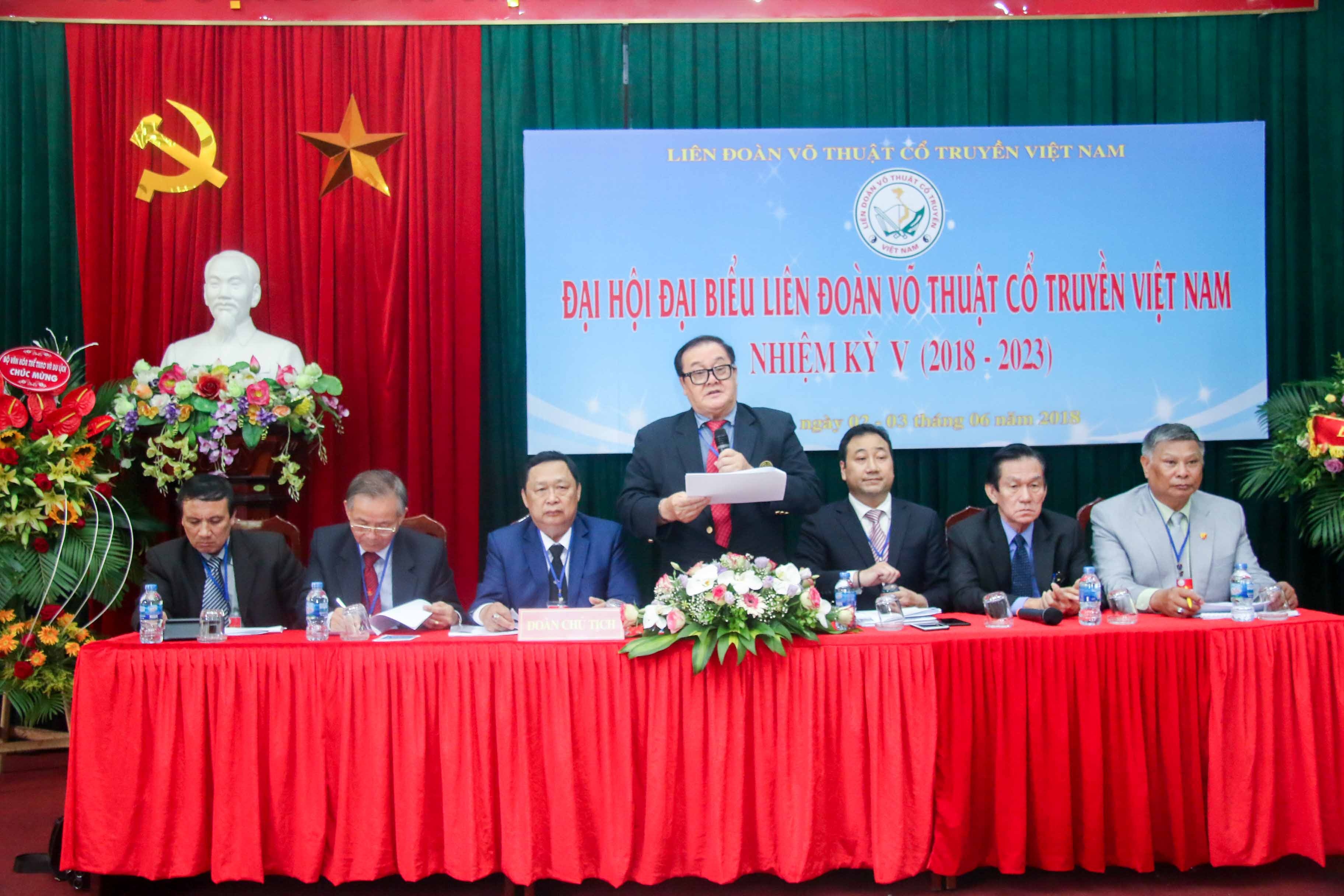 Ong Hoang Vinh Giang dac cu Chu tich Lien doan vo thuat co truyen VN hinh anh