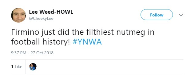 Roberto Firmino anh 7