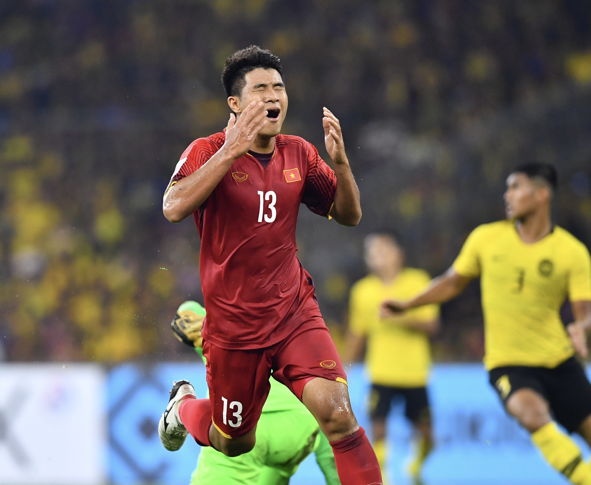 Việt Nam - Malaysia ảnh 4 Viet Nam - Malaysia anh 4