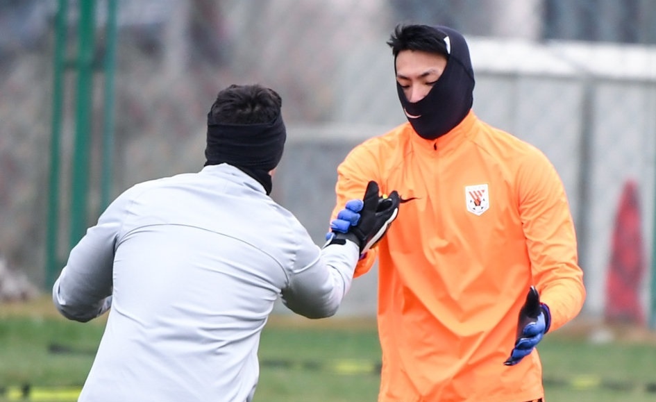 Marouane Fellaini anh 6