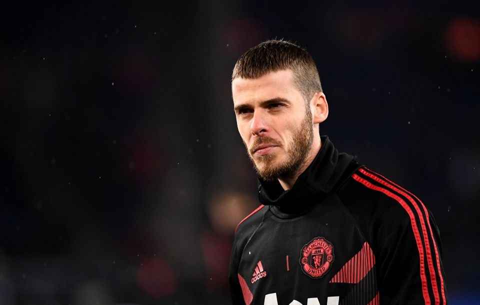 David De Gea anh 2