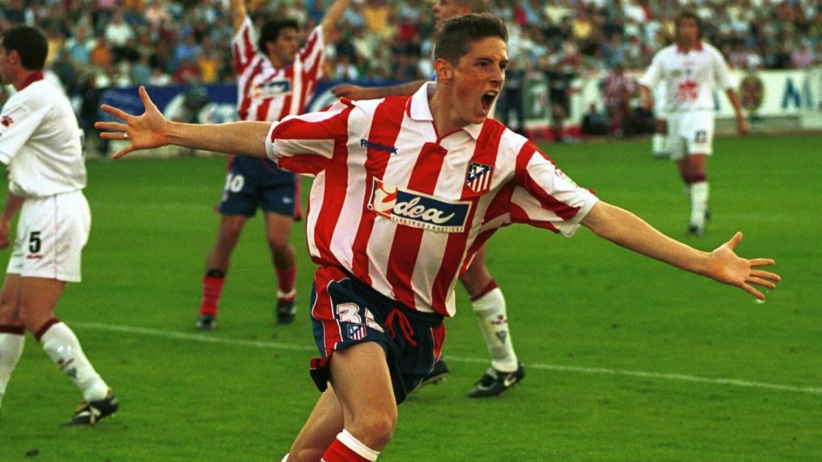 Fernando Torres anh 2