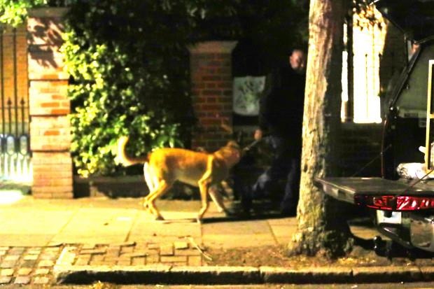 Mesut Oezil ảnh 2 Mesut Oezil anh 2