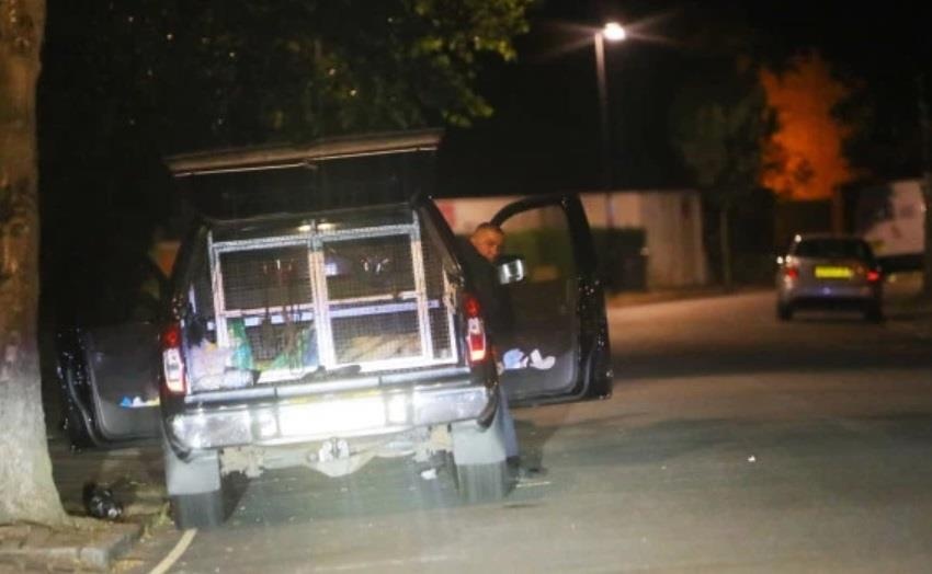 Mesut Oezil ảnh 3 Mesut Oezil anh 3