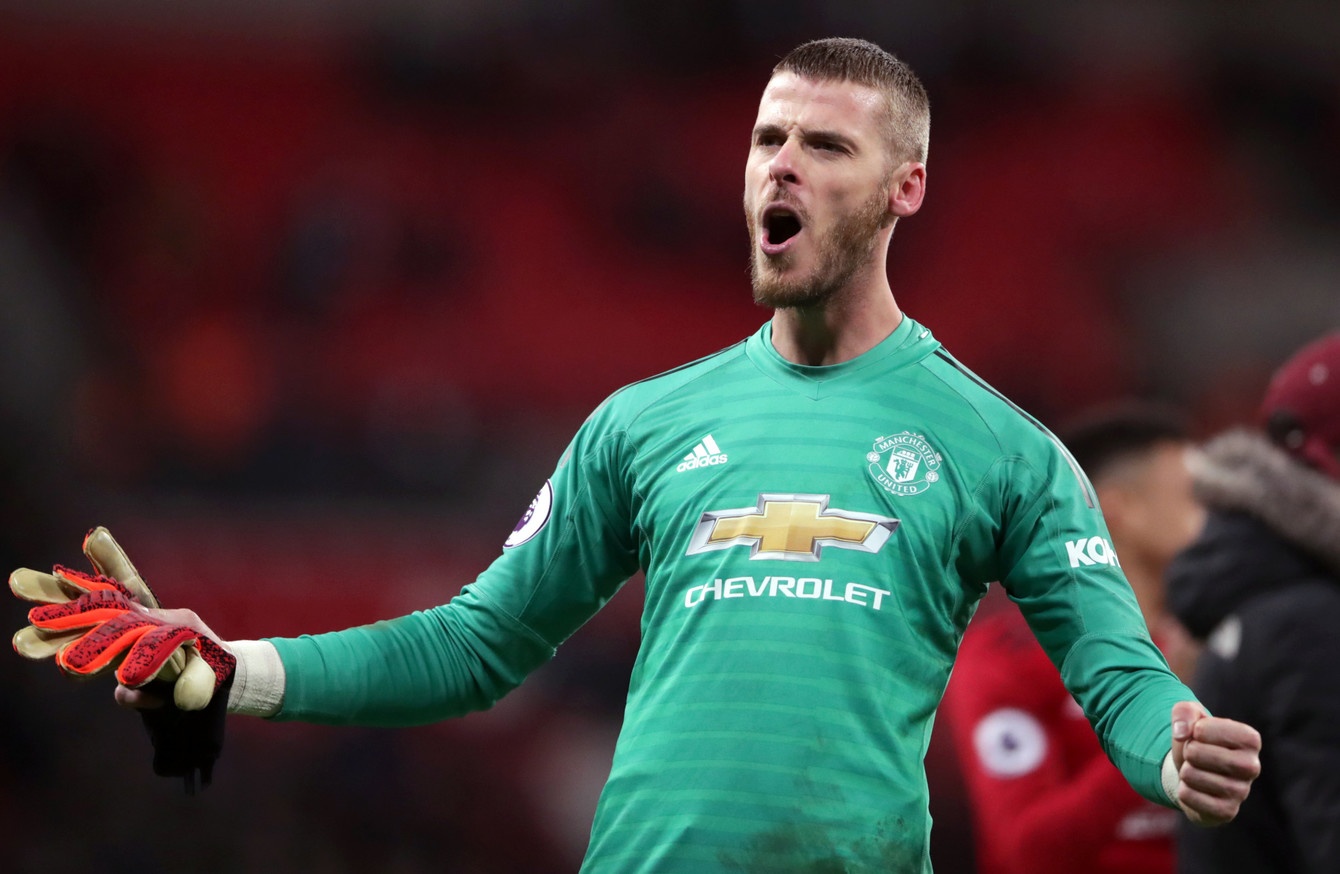 David De Gea anh 1