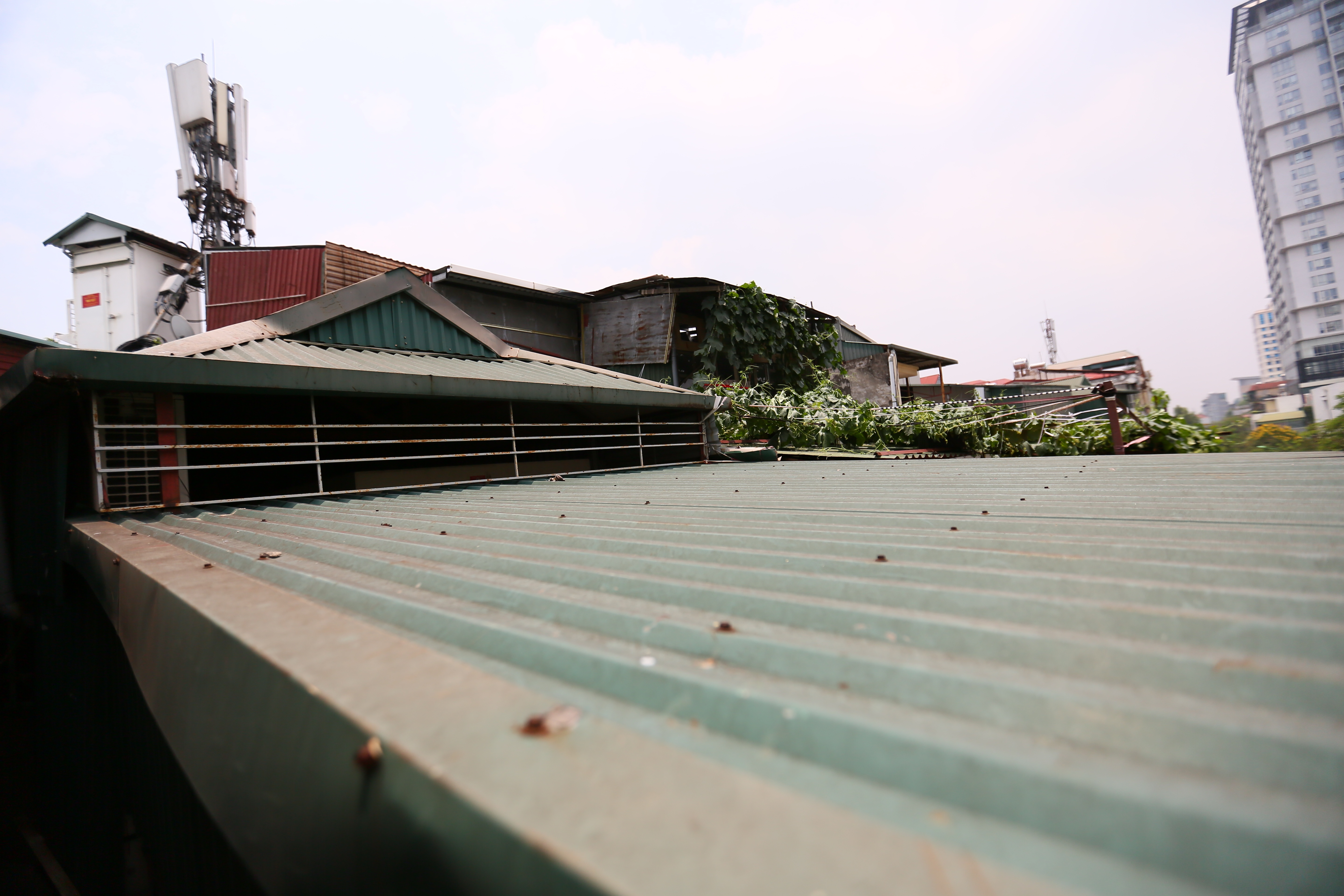 ke giet nguoi tron tren noc nha thoat chet the nao anh 2