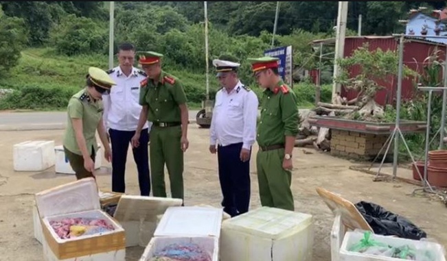 noi tang dong vat khong ro nguon goc anh 1